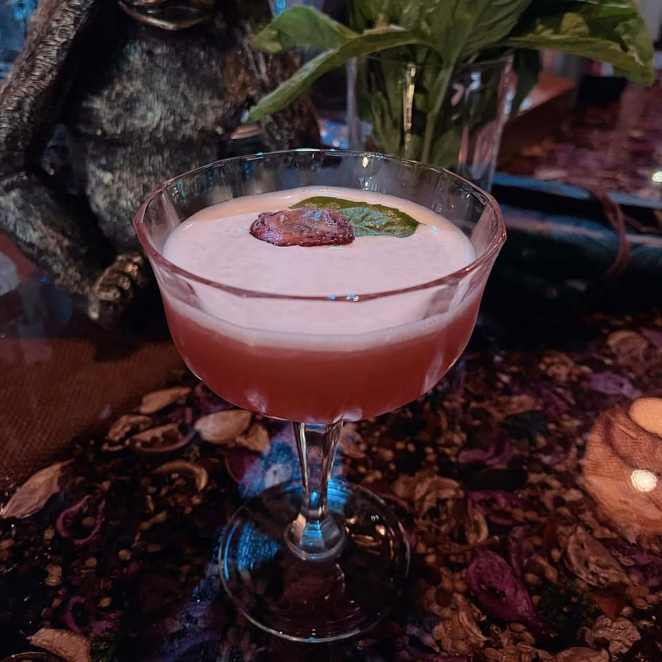A Celona Restaurant cocktail, red with white foam, garnished with a basil leaf and dried fruit.